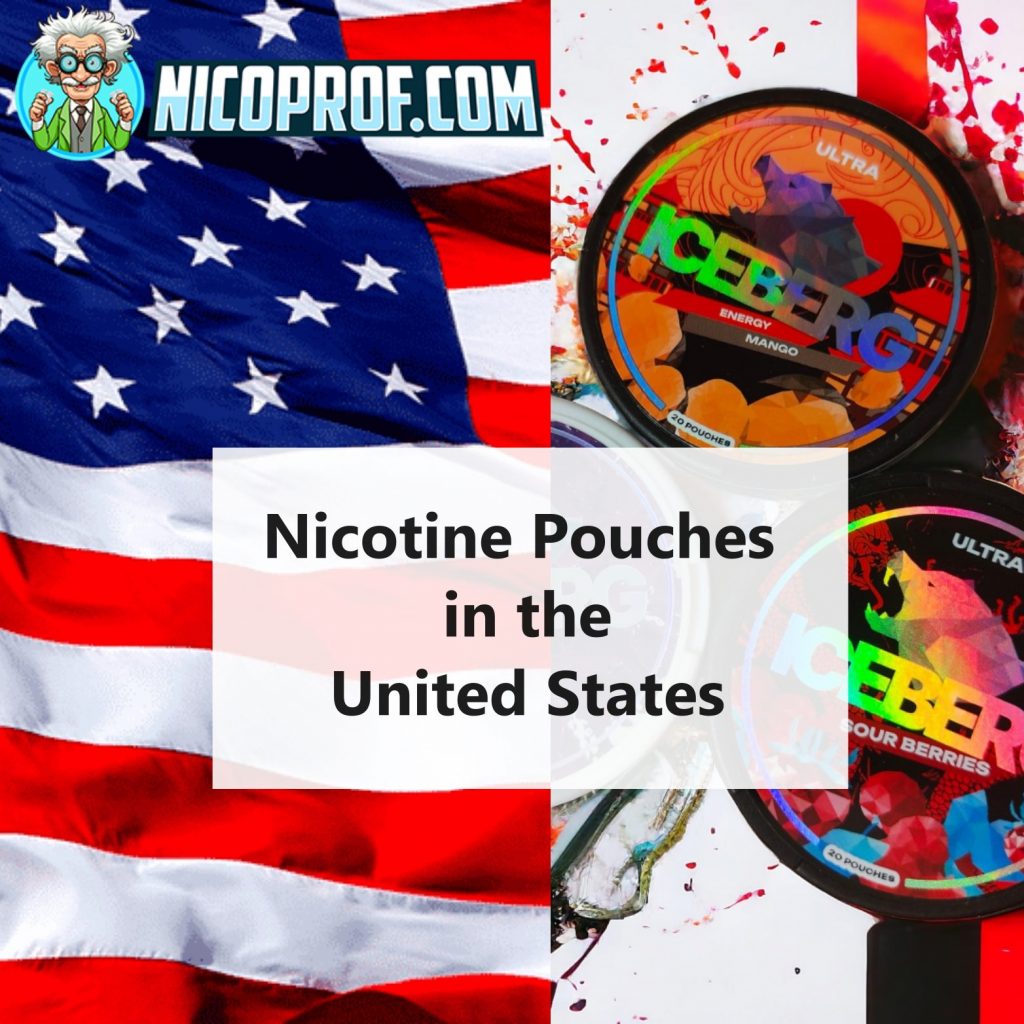 How does the situation of nicotine pouches in the United States look like at the moment? In this article, we look at legal, social and commercial aspects.