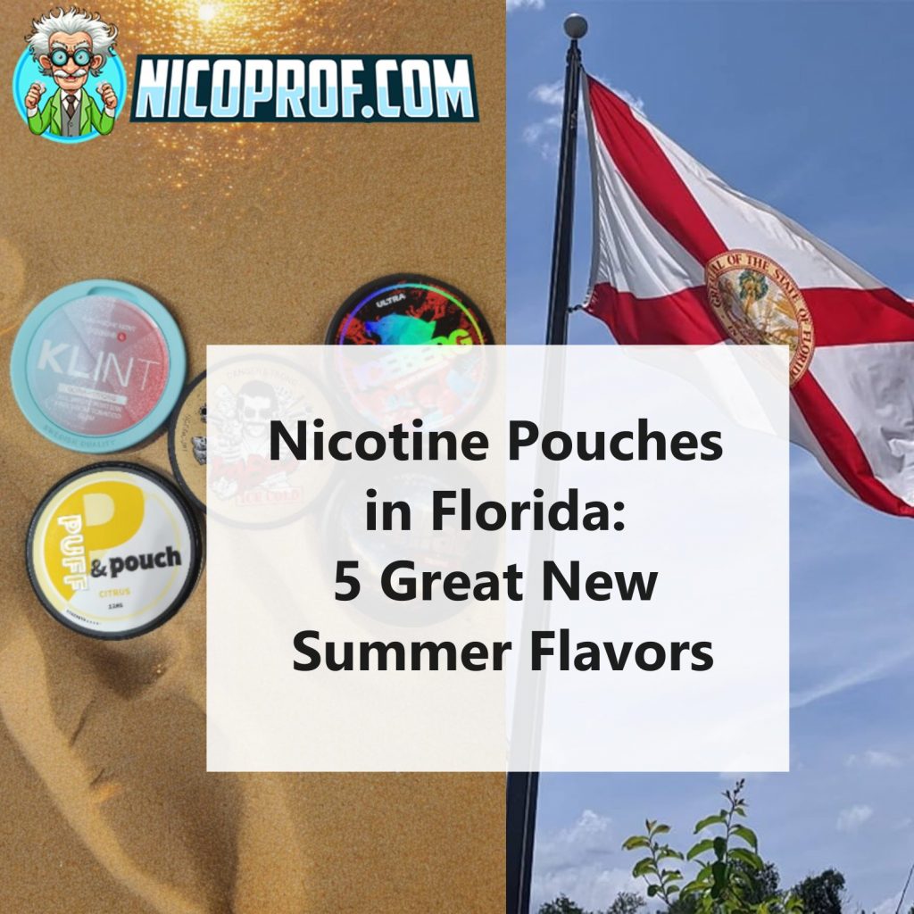 Where to buy nicotine pouches in Florida?