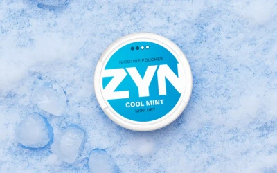 Fridge or Freezer? – 6 Tips to Store Your ZYN Pouches for Maximum Freshness