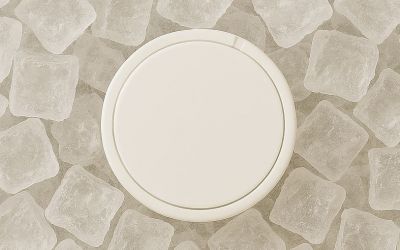 How to Store Nicotine Pouches for Maximum Freshness