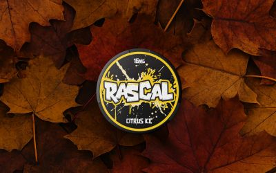 What’s the Minimum Age to Buy Nicotine Pouches in Canada?