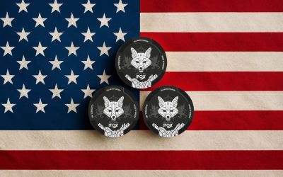 Guide to Shipping Nicotine Pouches to New York in 2025