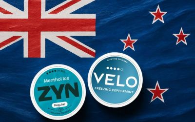 Top Nicotine Pouch Brands in New Zealand