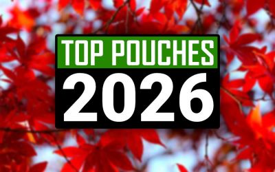 Best Nicotine Pouches Canada 2026: 7 Big Hits