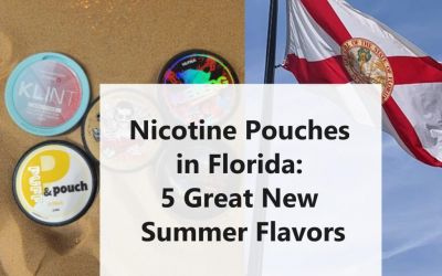 Nicotine Pouches in Florida: 5 Great New Summer Flavors