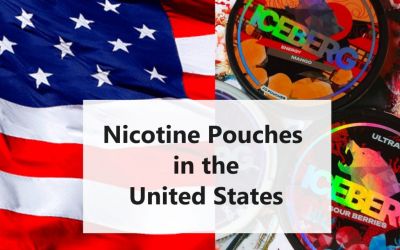 Nicotine Pouches in the United States