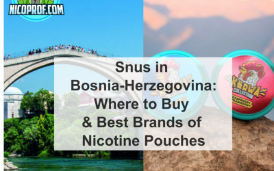 Get Nicotine Pouches & Snus in Bosnia and Herzegovina: 5 Best Brands to Buy