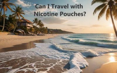 Can You Travel With Nicotine Pouches?