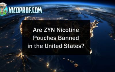 Is ZYN banned in America? New Subpoena halts 1 Sales Channel